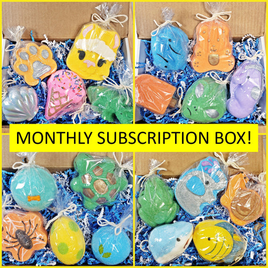Bath Bombs with Surprise Toys Inside | Monthly Subscription Boxes | Choose Your Duration