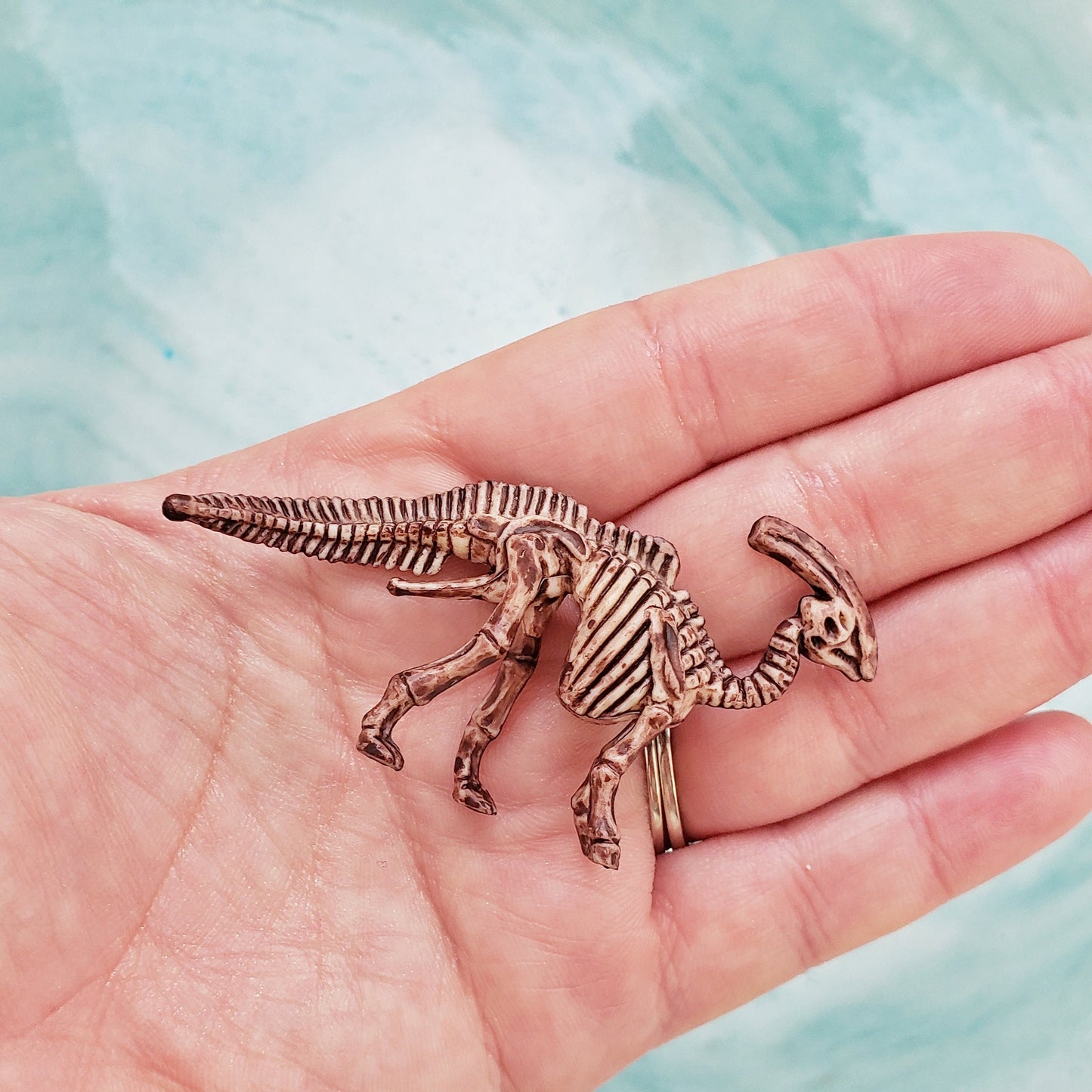 XL Dinosaur Fossil Bath Bomb (1) | Dino Skeleton Toy Inside